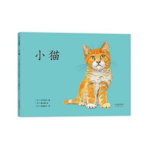 小猫