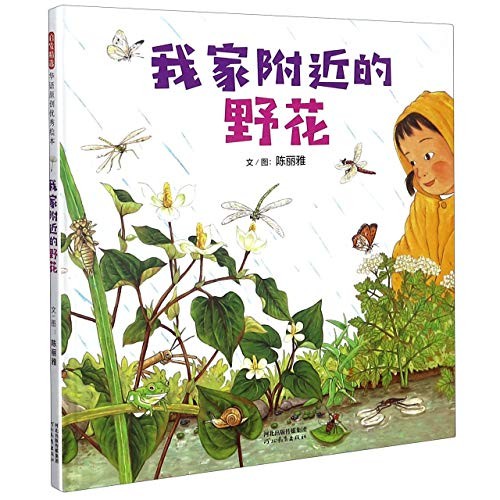 我家附近的野花