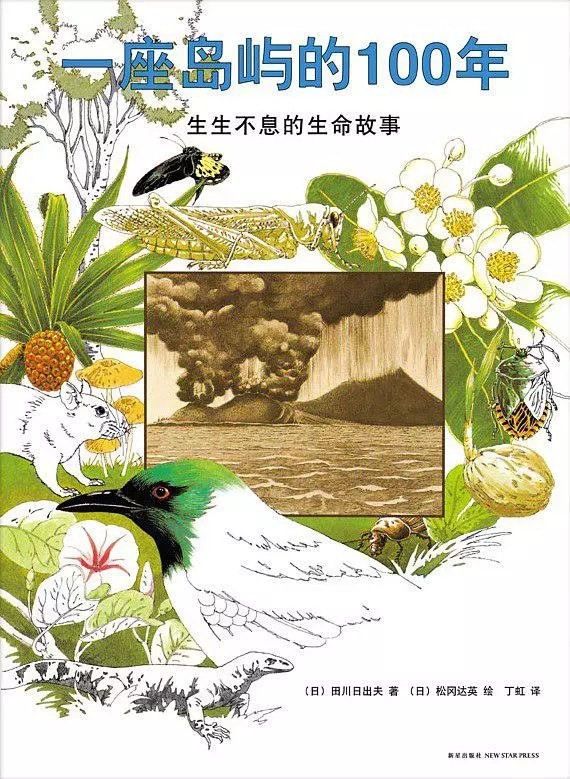 一座岛屿的100年