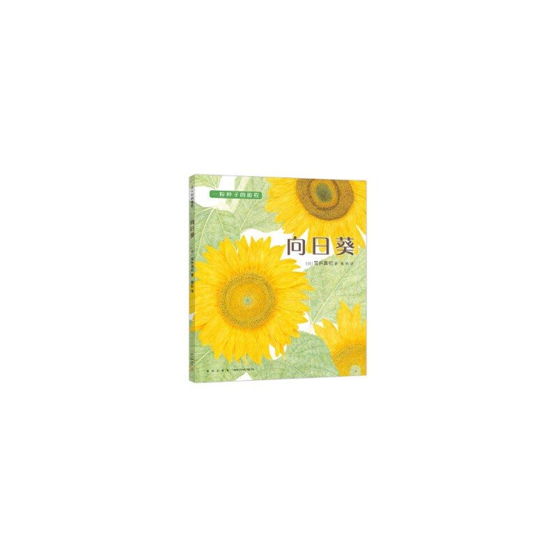 一粒种子的旅程：向日葵