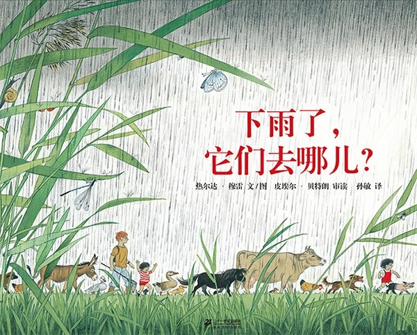 下雨了, 它们去哪儿?