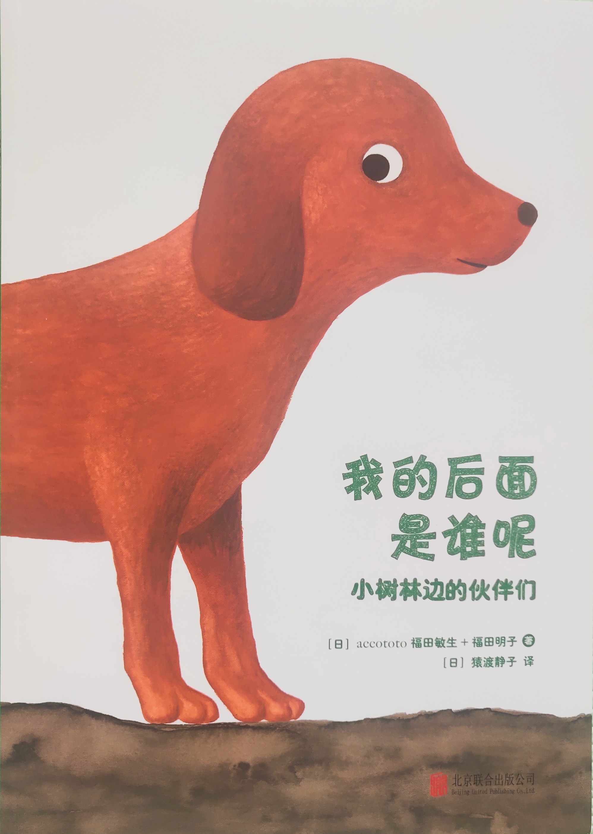 我的后面是谁呢：《小树林边的伙伴们》 