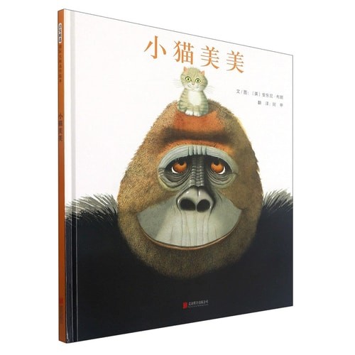 小猫美美