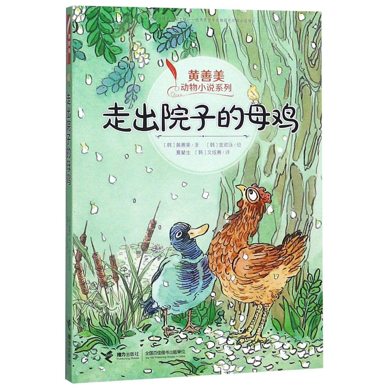 走出院子的母鸡