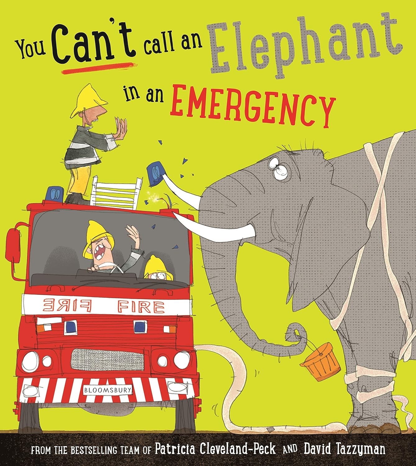 You Can't Call an Elephant in an Emergency