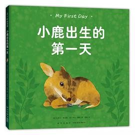 小鹿出生的第一天