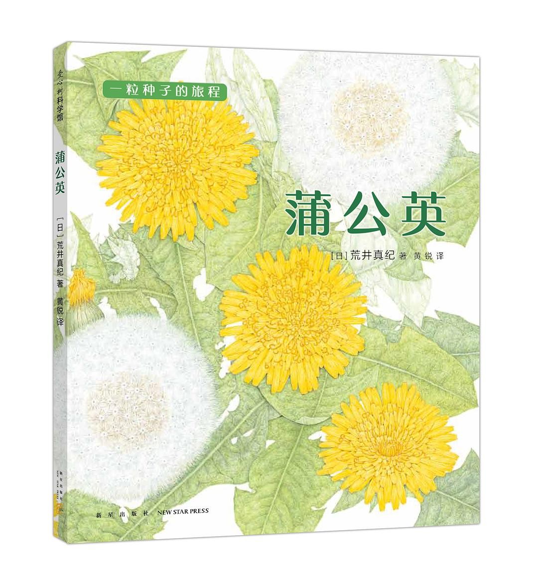 一粒种子的旅程：蒲公英