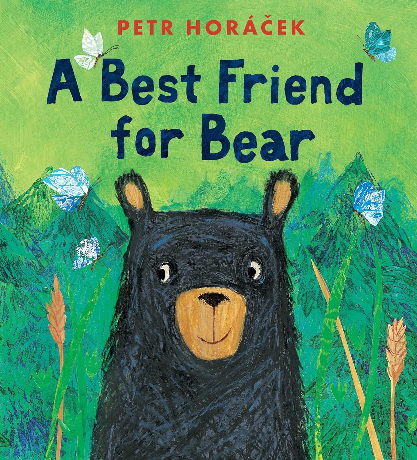A Best Friend For Bear