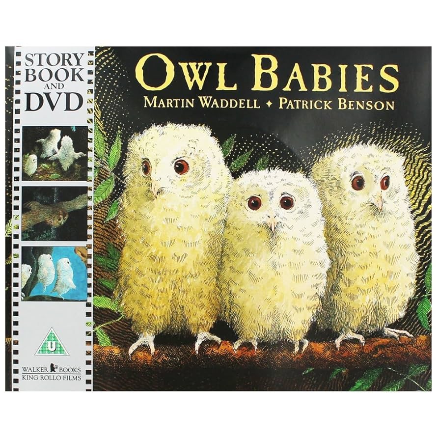 Owl Babies