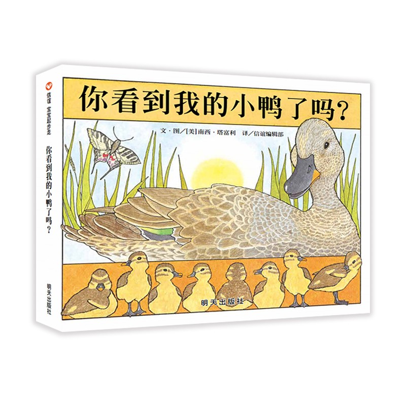 你看到我的小鸭了吗